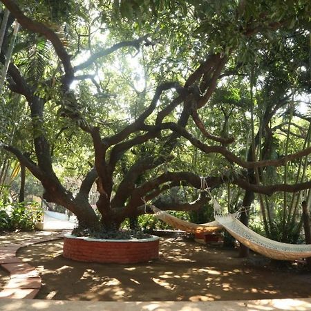 Outpost@Alibaug Otel Alībāg Dış mekan fotoğraf